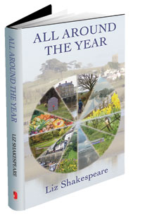 Cover of All Around The Year